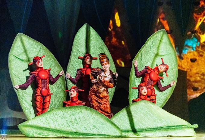 Cirque du Soleil OVO