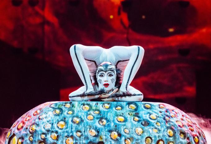 Cirque du Soleil OVO