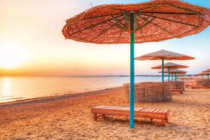 Baden in Marsa Alam & Hurghada