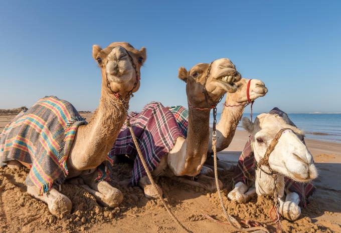 Vereinigte Arabische Emirate - Rundreise & Baden