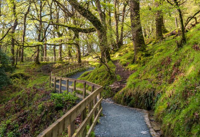 Dublin - Silvester Erlebnisreise