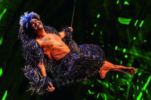 Hamburg - ÖBB Nightjet inkl. Musical Tickets