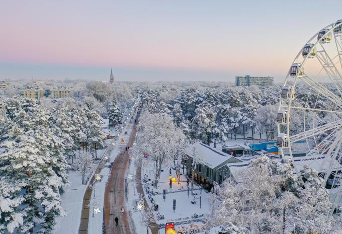 Vilnius - Park mit Weihnachtsmarkt