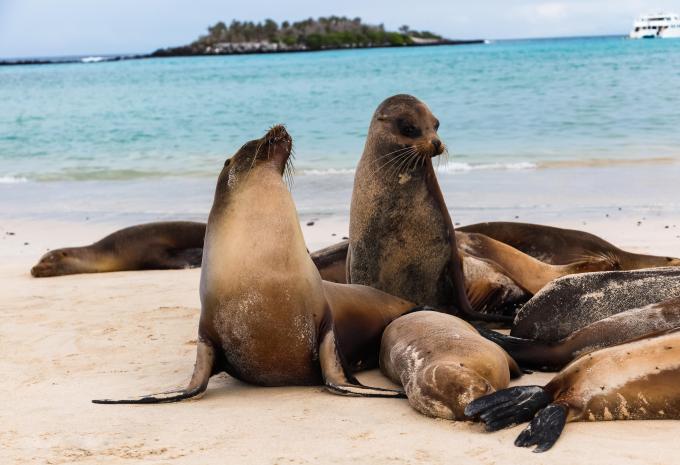 Ecuador & Galápagos Inseln - Rundreise