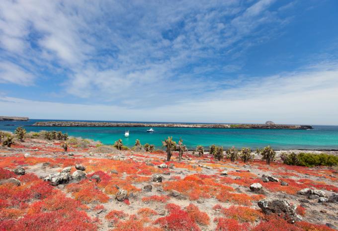 South Plaza Island, Galápagos