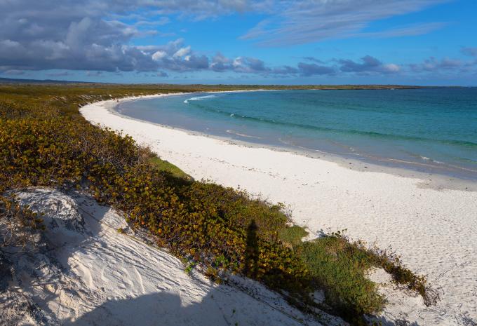 Tortuga Bay, Galápagos