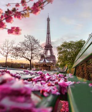 Die 8 schönsten Städtetrips im Frühling | HOFER REISEN