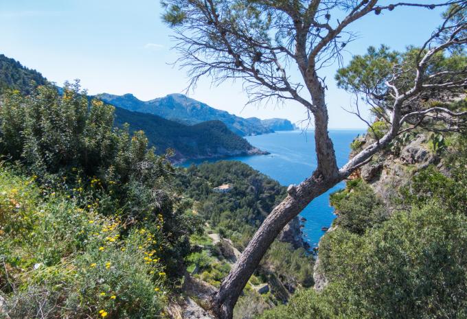 Mallorca - Wanderreise