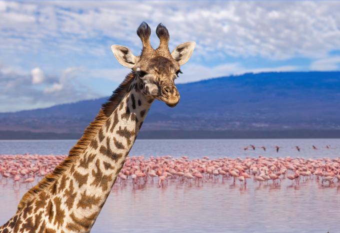 Lake Nakuru