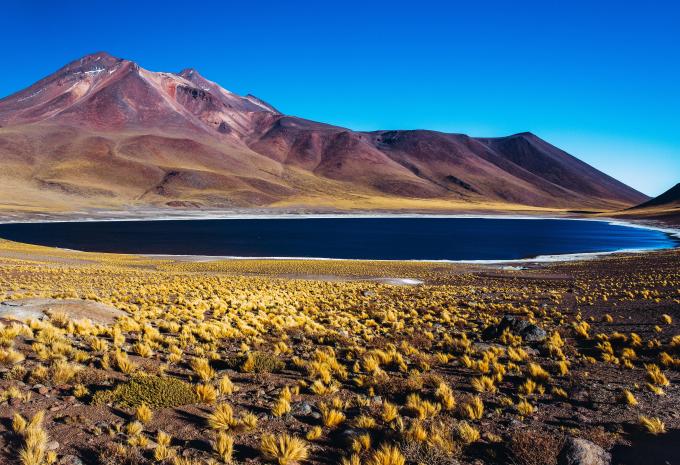 Laguna Miscanti, San Pedro de Atacama