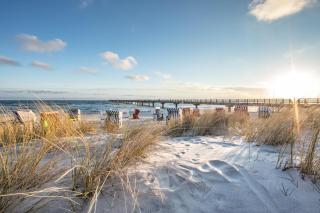Coolcation Ostsee | HOFER REISEN