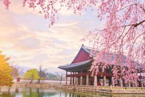 Südkorea - Rundreise