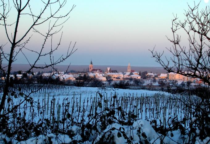 Rust am Neusiedler See