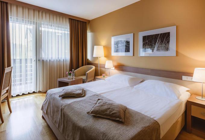 Zimmerbeispiel, Standard Doppelzimmer Balkon Waldblick