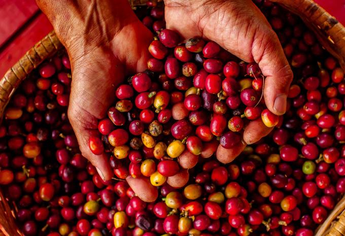 Kolumbien - Rundreise & Baden