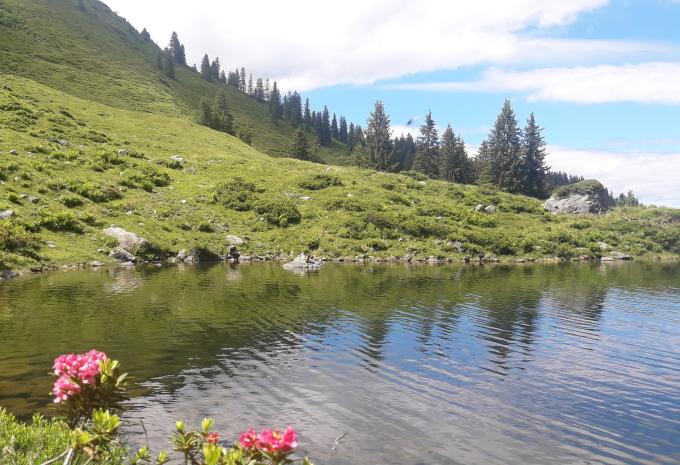 Wildschönau - Auffach