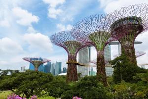 Singapur