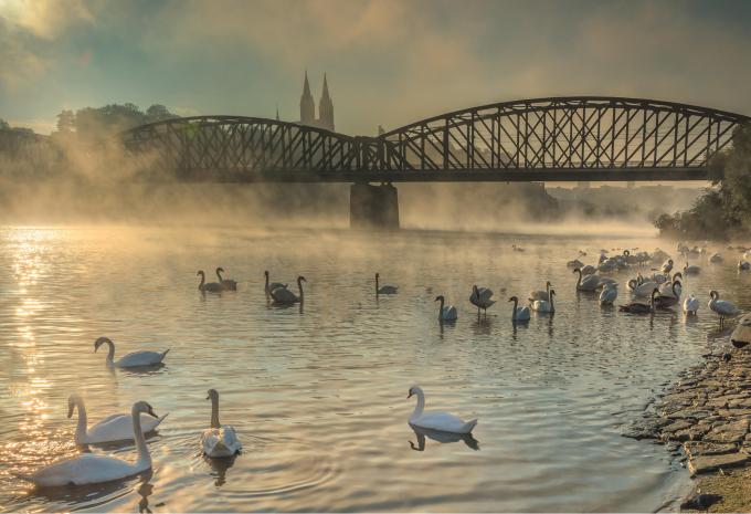 Prag