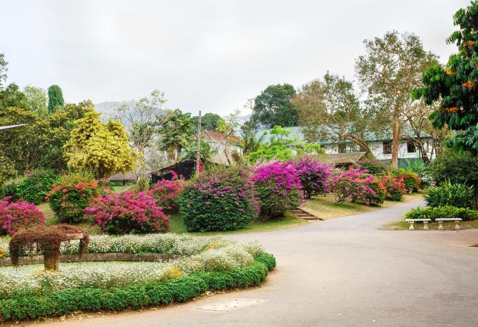 Sri Lanka - Rundreise & Baden