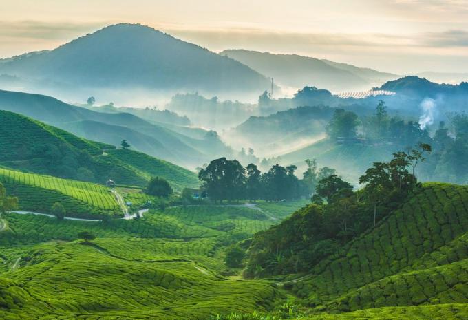 Sri Lanka - Rundreise & Baden