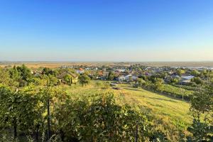 Neusiedler See Rundfahrt - Radreise