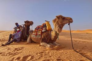 Große Marokko-Rundreise