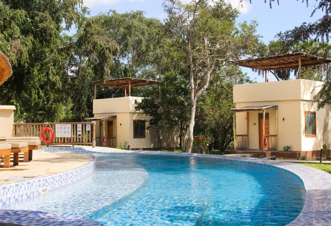 Africa Safari Nyerere