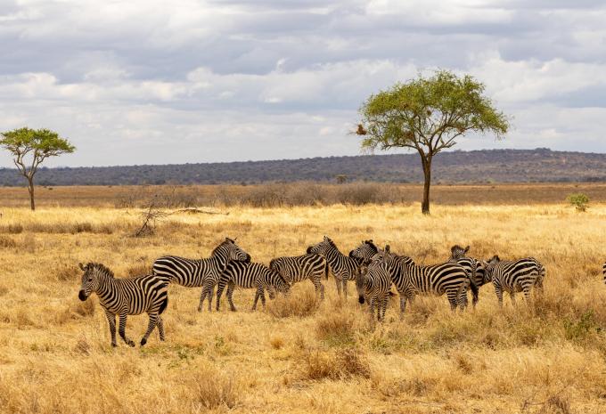 Tarangire-Nationalpark