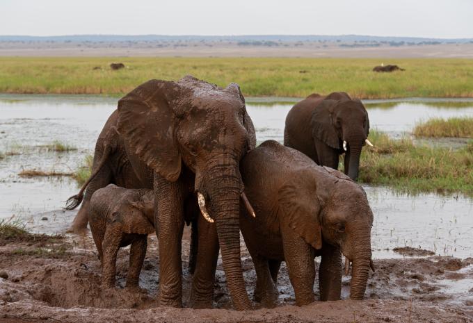 Tarangire-Nationalpark