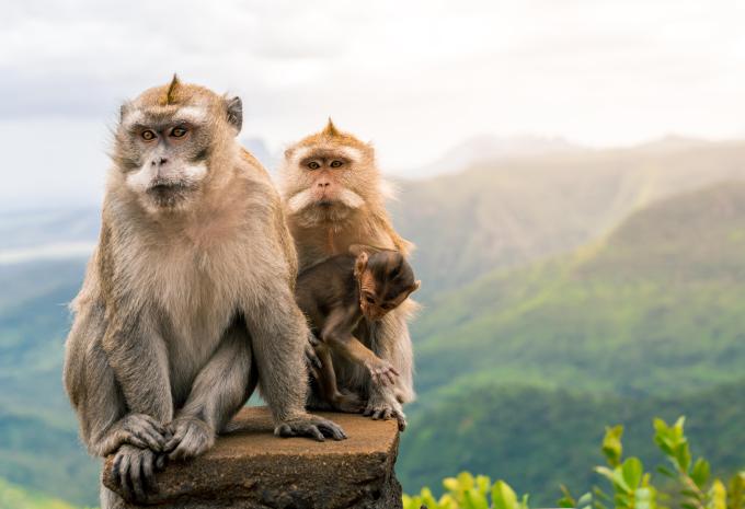 Dubai & Mauritius - City Trip & Baden