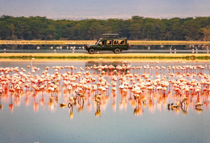 Amboseli - Nationalpark