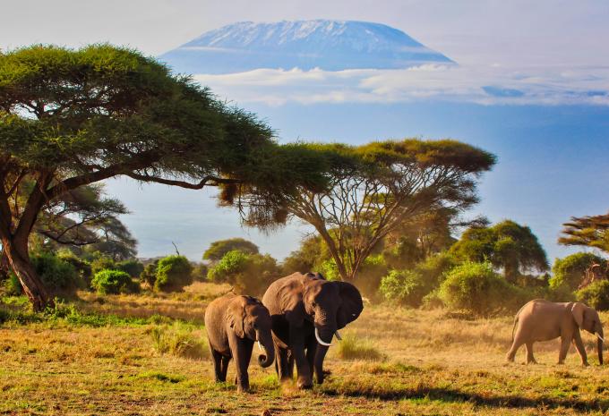 Amboseli - Nationalpark