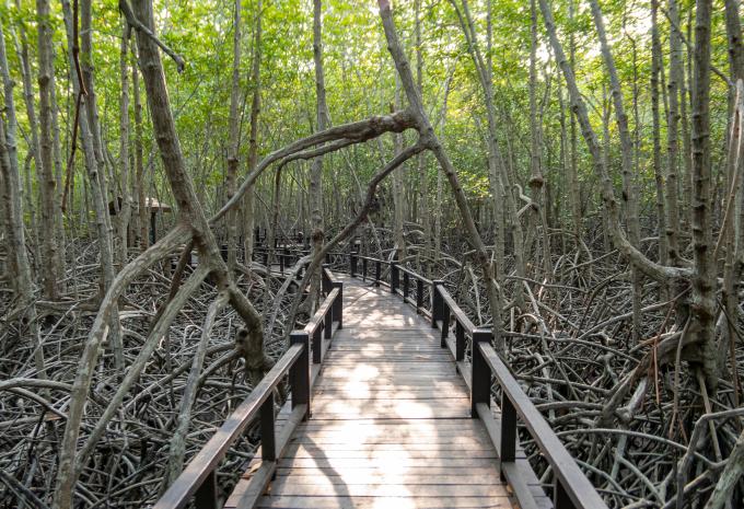 Südthailand - zwischen Golf von Siam und Andamansee