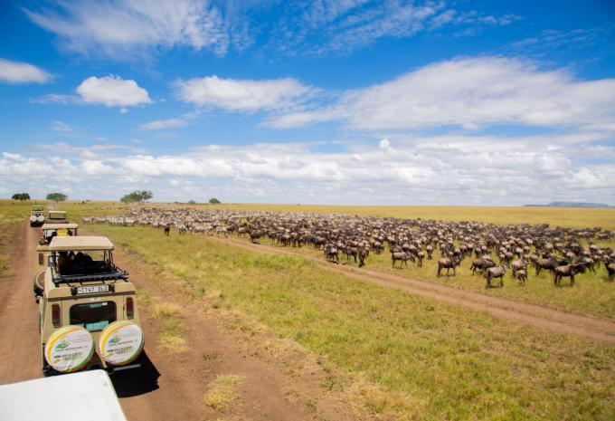 Kenia & Tansania - Safari