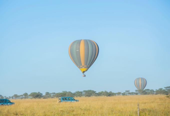 Kenia & Tansania - Safari