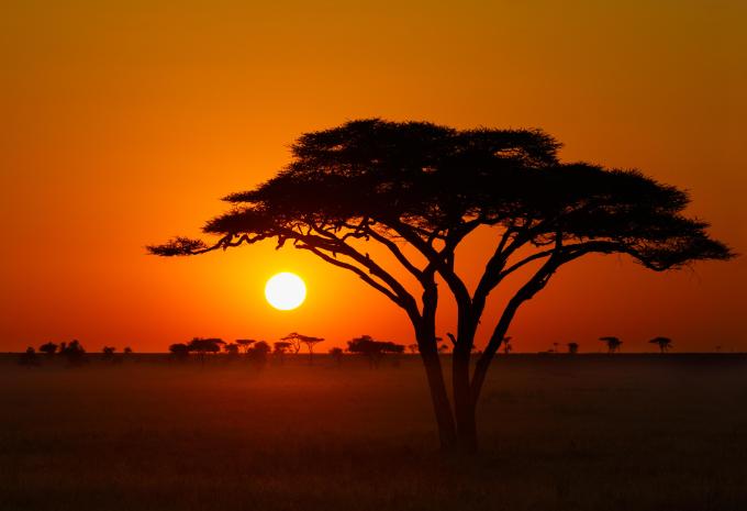 Kenia & Tansania - Safari