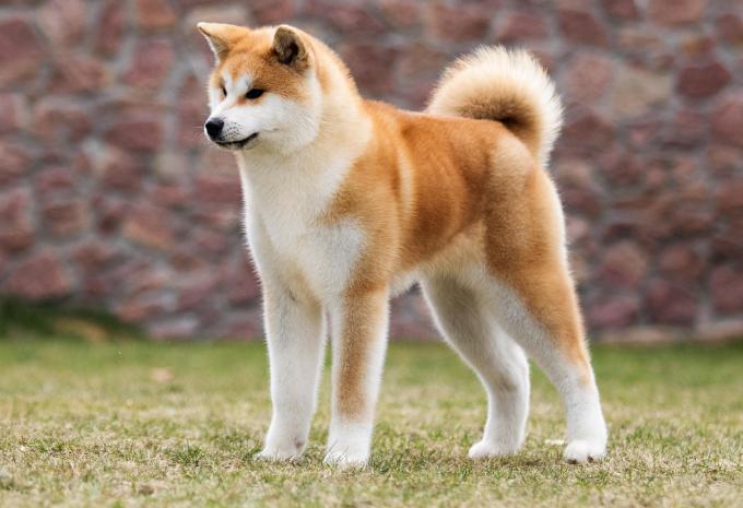 China & Japan Rundreise