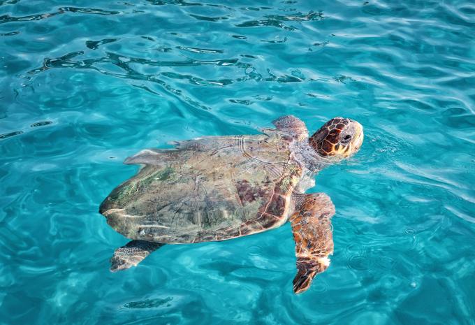 Zakynthos - Sternfahrt