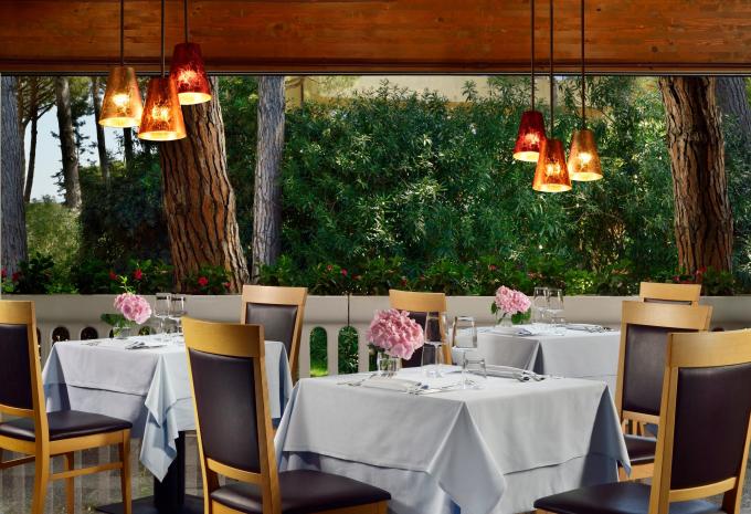 Marina di Bibbona - Flugreise