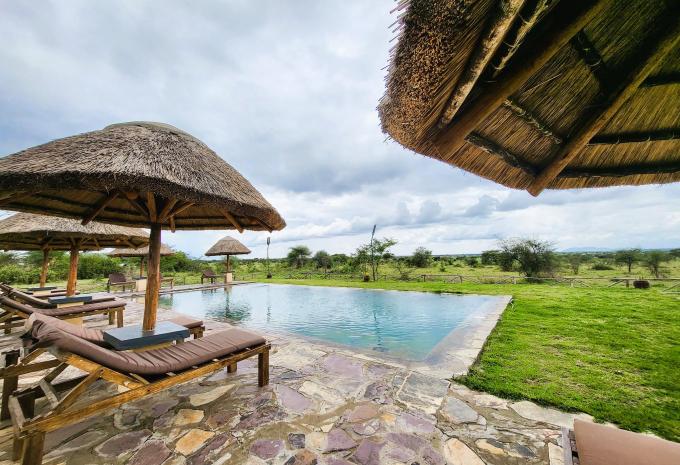 Safari Serengeti Ikoma