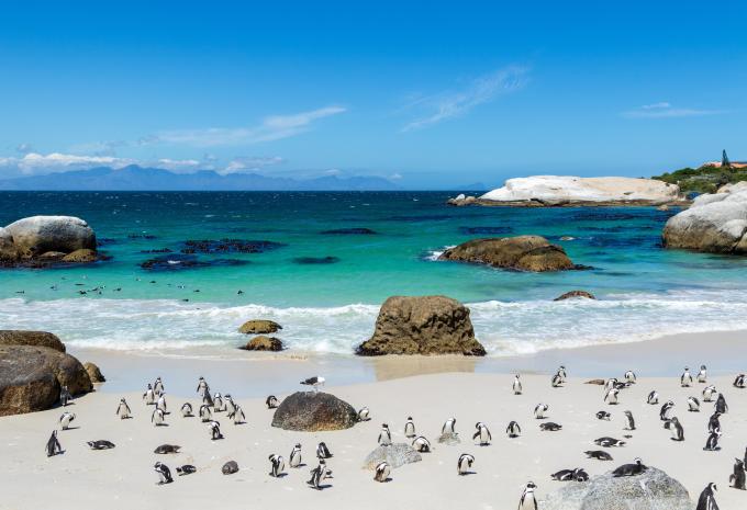 Boulders Beach, Südafrika