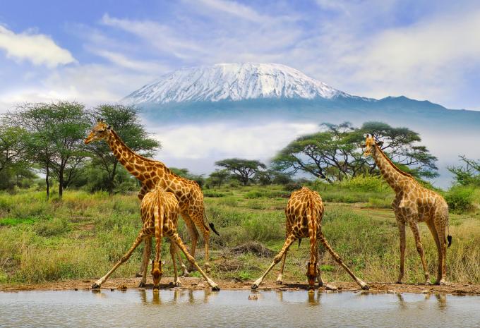 Amboseli National Park