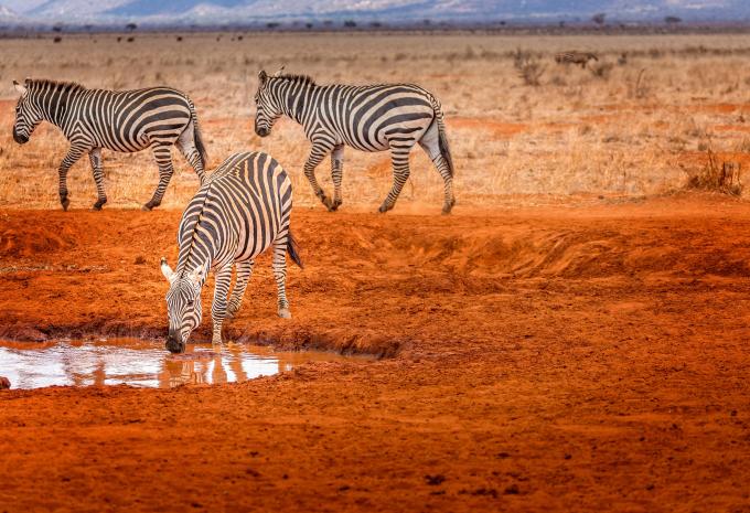 Tsavo East National Park