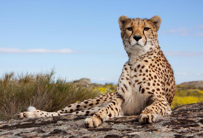 Doha & Kenia - City Trip & Safari