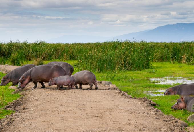 Lake Manyara