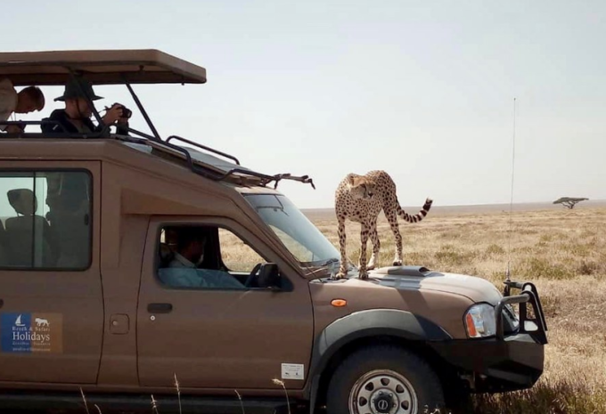 Tansania & Sansibar - Safari & Baden