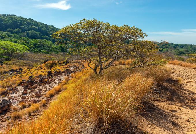 Rincon de la Vieja Nationalpark