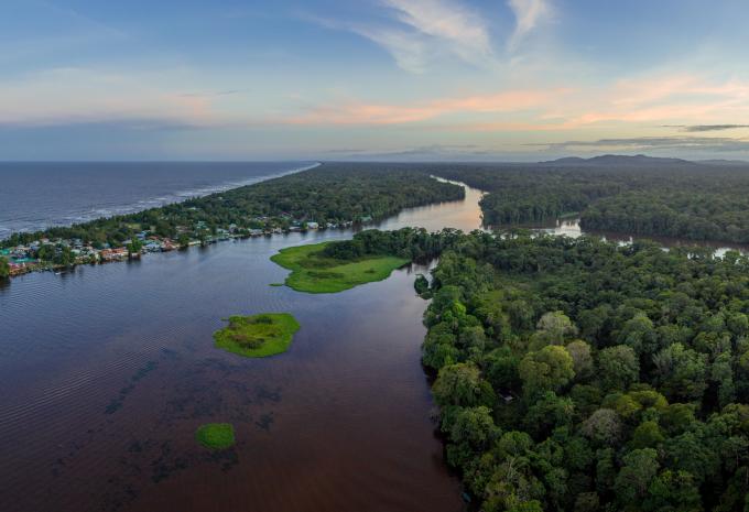 Tortuguero
