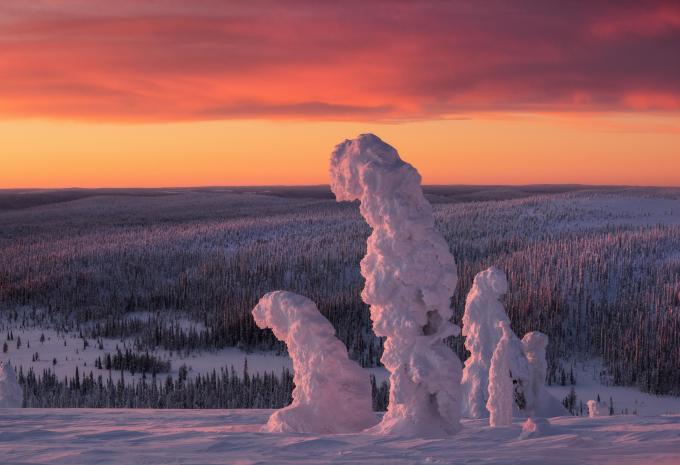 verschneite Winterlandschaft