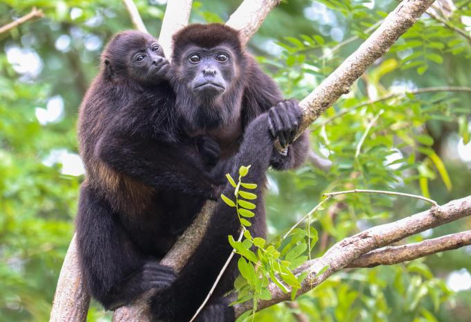 Nicaragua & Costa Rica - Rundreise & Baden